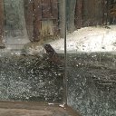 ���� ����, ������������, 35 ��� - ��������� 12 ���� 2016 � ������ �Moscow 2016 January�