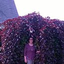 ���� ������, ���� - ��������� 7 ���� 2016 � ������ ���� ����������