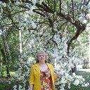 ���� �������, ������������ - ��������� 29 ��� 2016 � ������ ���� ����������