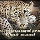 ���� ������, ������������ - ��������� 25 ��� 2016 � ������ �������� ��������