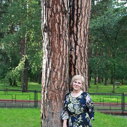 ���� ��������, ��������, 54 ���� - ��������� 7 ���� 2016