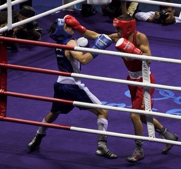 Боксер на ринге. Выйти на ринг это. Бокс раунд девушки. Крид бокс ринг. Девушки с табличками на ринге.