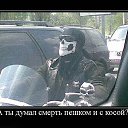 ���� ��������)), �����-��������� - ��������� 31 ��� 2016 � ������ ������ ��������