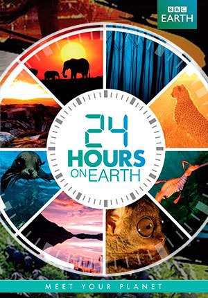 24 часа на Земле.(24 Hours on Earth)Солнце - творец ежедневной жизненной гармонии на Земле, участник ...