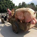 ���� ����, ���� - ��������� 6 ���� 2016 � ������ ������ ��������