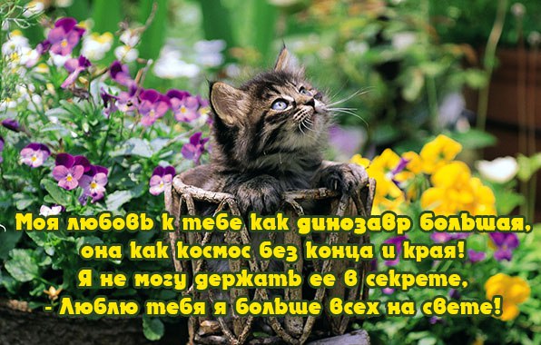 :)