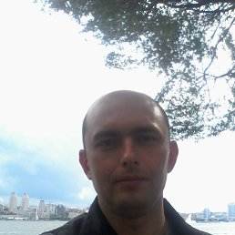 Vitalik, ��������������, 43 ����