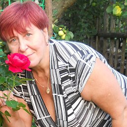 ������, ��������, 66 ���