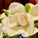  ,  -  14  2016     11-    6  ӻ