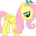  ,  -  6  2016   My little pony