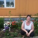 ���� �������, ����������, 44 ���� - ��������� 23 ���� 2016 � ������ ���� ����������