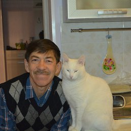 �����, 64 ����, ���������