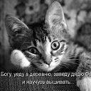 ���� Ը���, �����, 30 ��� - ��������� 29 ��� 2016 � ������ ���� ����������