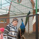 ���� ��������, �������, 55 ��� - ��������� 14 ��� 2016 � ������ �������-��