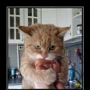 ���� �������, ������������ - ��������� 8 ���� 2016 � ������ ������� ��� ..����������