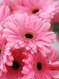 , ,  - 18  2016  03:10