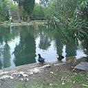 ���� ����, ������������, 35 ��� - ��������� 12 ���� 2016 � ������ �Vacation Abkhazya 2014 November�