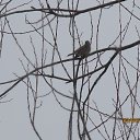 ���� ����������, ������, 58 ��� - ��������� 4 ������ 2016 � ������ �������