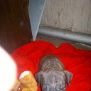 ���� ��������, ����� - ��������� 18 ���� 2016 � ������ ���� ����������