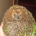  , -, 57  -  3  2016     !!!