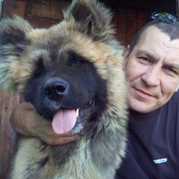 ���� ������, ���������, 53 ���� - ��������� 20 ���� 2016