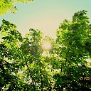 ���� ����, �������� - ��������� 21 ��� 2016 � ������ ���� ����������