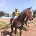 ���� ((::����������::)), �������� - ��������� 13 ������� 2016 � ������ ���� ����������