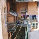 ���� Forest, ���� - ��������� 5 ��� 2016 � ������ ��������