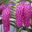 ���� Eric, ����, 61 ��� - ��������� 18 ������ 2016 � ������ ������ ��������