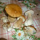 ���� �����, ������, 67 ��� - ��������� 6 �������� 2016 � ������ �������