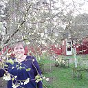  , , 68  -  1  2016    2016