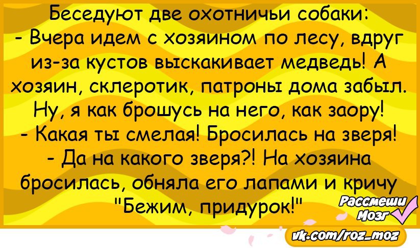 Смешные анекдоты про зверей. Смешные анекдоты. Шутки про склероз. Склеротик это. Склерозник картинки.