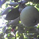 ���� �����, ���� - ��������� 24 ���� 2016 � ������ ���� ����������