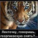 ���� �����, �����������, 55 ��� - ��������� 30 ������ 2016 � ������ ������ ��������