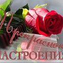 ���� �������, �����, 61 ��� - ��������� 21 ��� 2016 � ������ ������ ��������