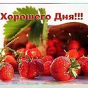 ���� ����, ������ - ��������� 17 ������ 2016 � ������ ������ ��������