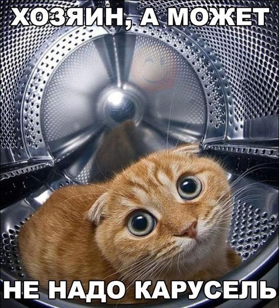    :D - 16  2016  21:32