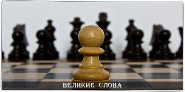 Мнение большинства - всегда ошибочно, ибо большинство людей - идиоты. © Эдгар Алан По