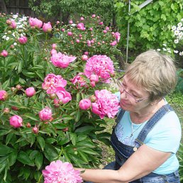 �����, ������, 74 ����