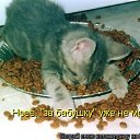 ���� �, �������-���������, 46 ��� - ��������� 20 ����� 2016 � ������ ���� ����������