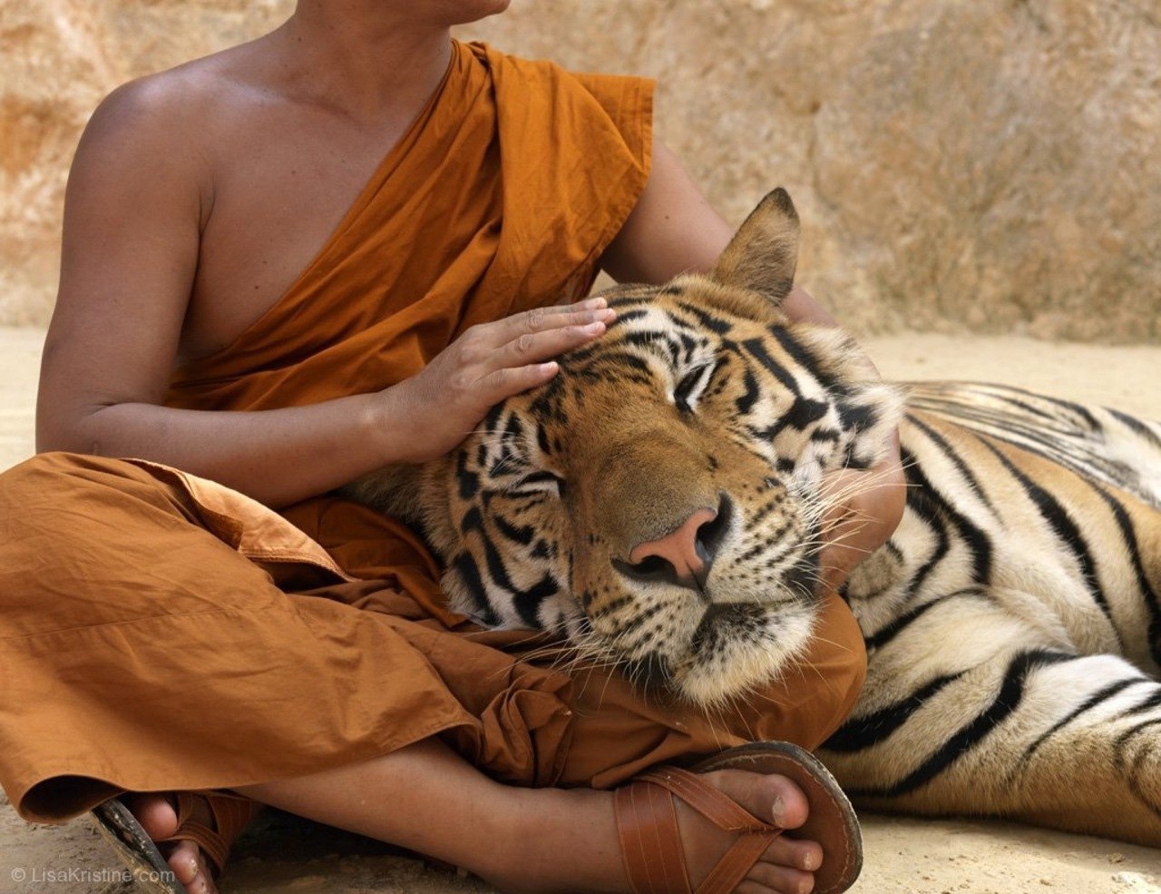 В мире животных - 18 апреля 2016 в 14:08 - 2