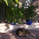 ���� �������, ������, 68 ��� - ��������� 27 ����� 2016 � ������ ���� ���� ������