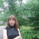 ���� ��������, ���������, 49 ��� - ��������� 13 ���� 2016 � ������ ���� ����������