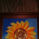 ���� �������, �����-��������� - ��������� 25 ������� 2016 � ������ ���� ������