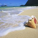 ���� Viktor, ������������, 63 ���� - ��������� 2 �������� 2016 � ������ ������ ��������