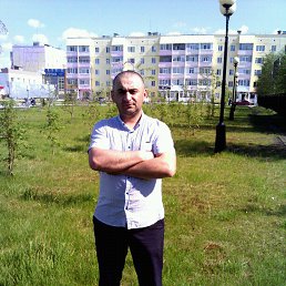 ����, ����������, 41 ���