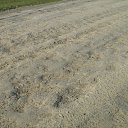 ���� ���������, �������, 53 ���� - ��������� 8 ������� 2016 � ������ �������������� "�������-������� 2016"�