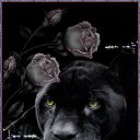 ���� �����, ��������� - ��������� 28 ����� 2016 � ������ ���