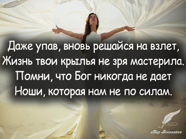   - vk.com/mirznaek
