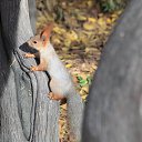 ���� �����, ������, 49 ��� - ��������� 22 ������ 2016 � ������ ������ � ������